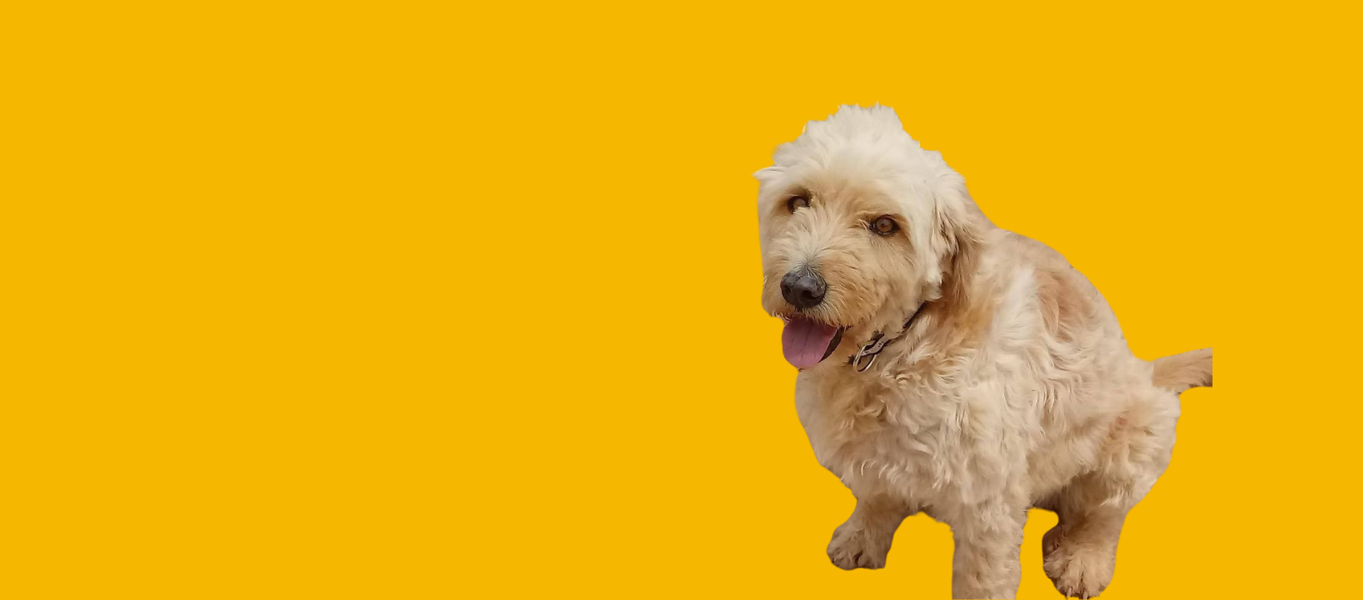 Diseño sin título (90)