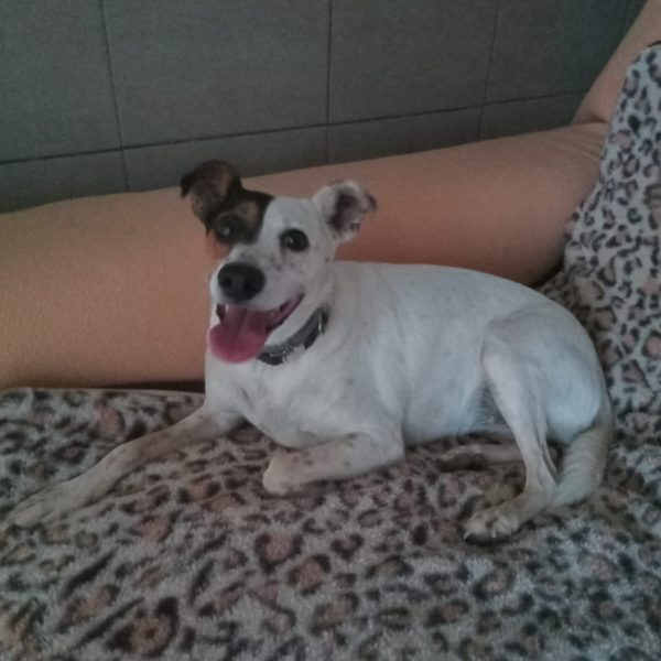 WhatsApp Image 2025-07-15 at 08.28.36