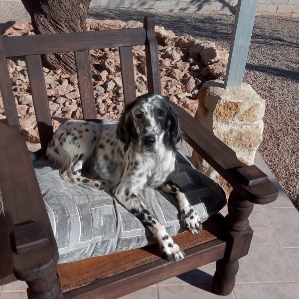 WhatsApp Image 2025-07-15 at 08.33.06