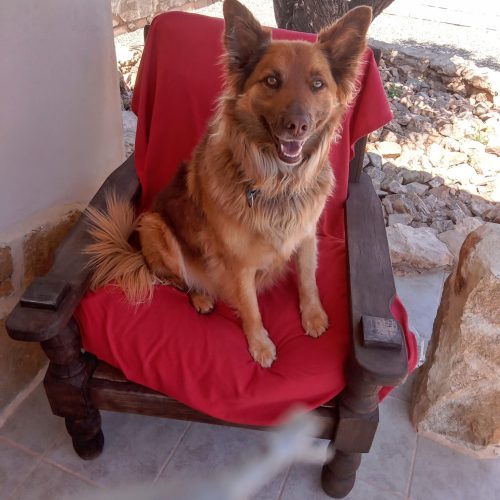 WhatsApp Image 2025-07-15 at 08.33.46