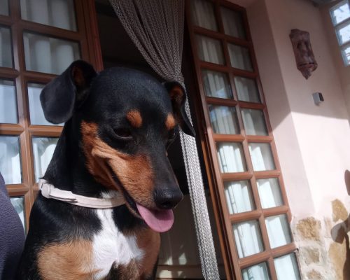 WhatsApp Image 2025-07-15 at 08.34.57