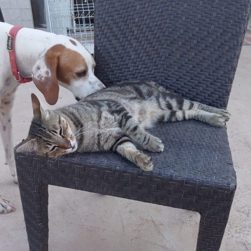 WhatsApp Image 2025-09-30 at 15.44.43 (1)